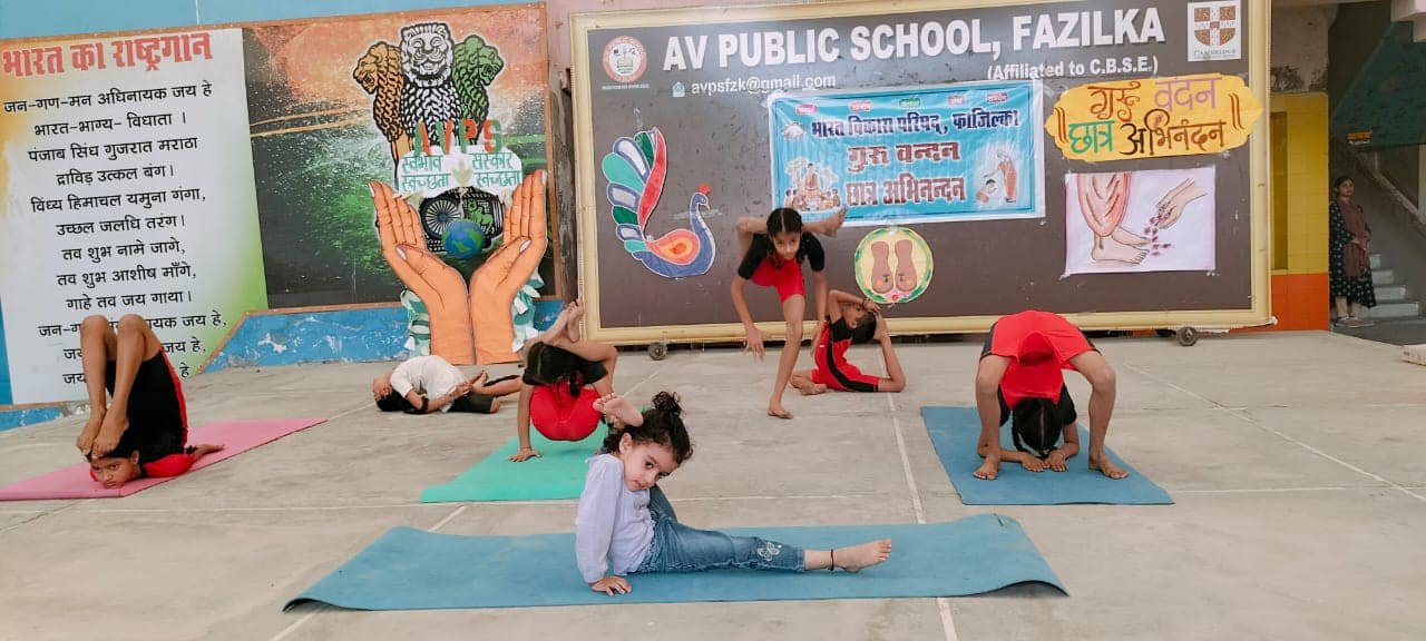 A V Public School