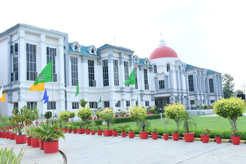 AM World School