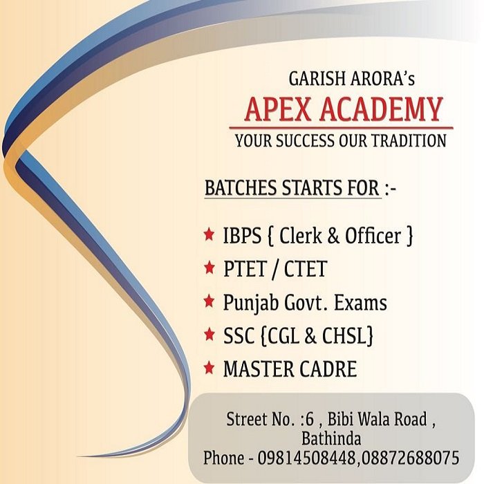 Apex Academy
