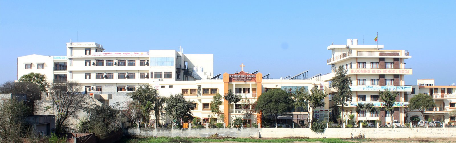 Blooming Buds School