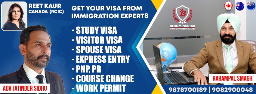 Blooming Star Immigration Consultency
