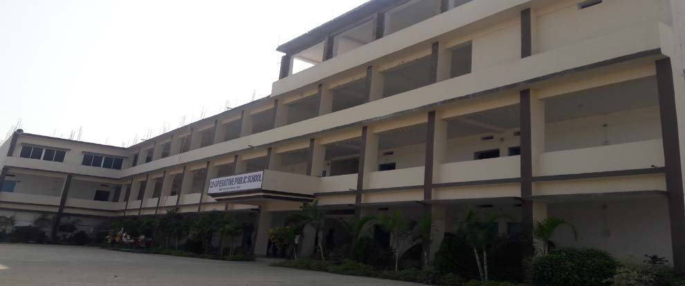 Co-Operative Public School