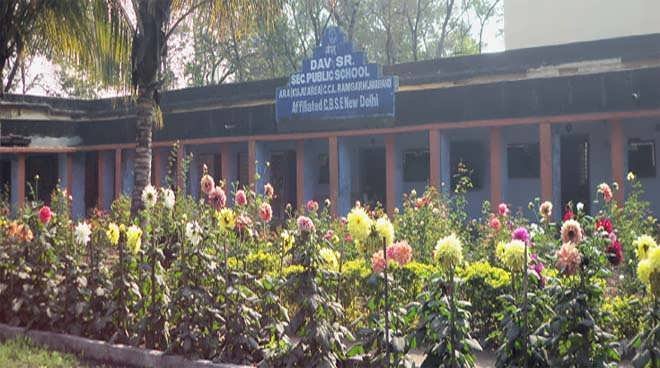 D A V Public School