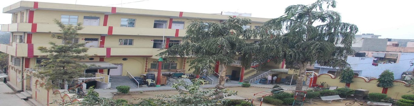 D.S. Memorial Public Senior Secondary School