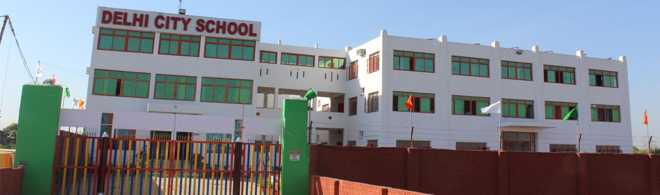 Delhi City School