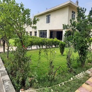 DM Public School