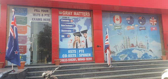 Gray Matters