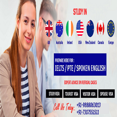 Lingual Academy