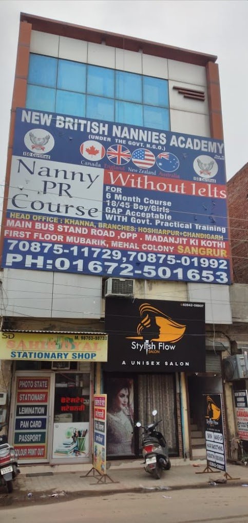 New British Nanny Academy