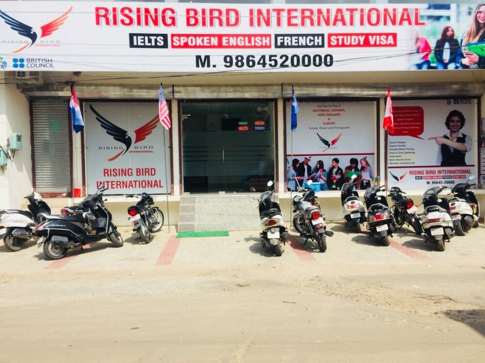 RISINGBIRD INTERNATIONAL