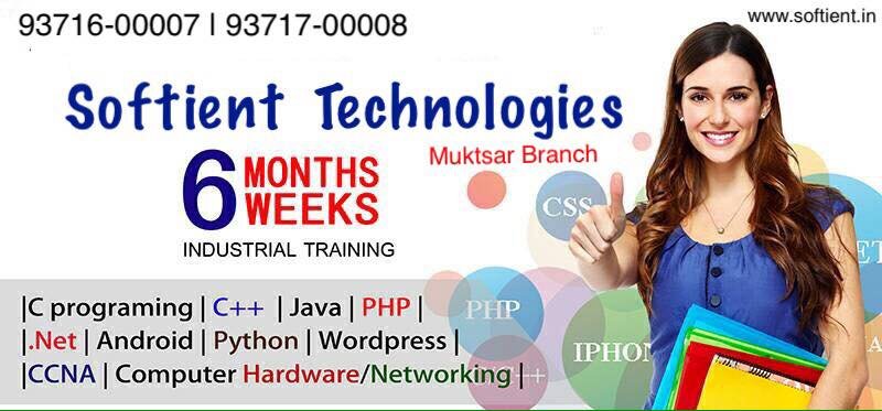 Softient Technologies