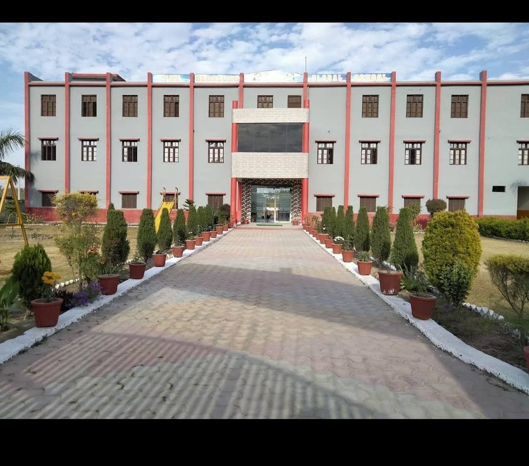 The Blossoms Global School