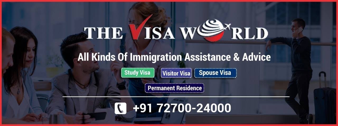 The Visa World