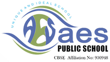AES Public School logo