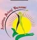 Ambition School logo