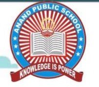 Anand Public School logo