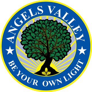 Angels Valley School logo