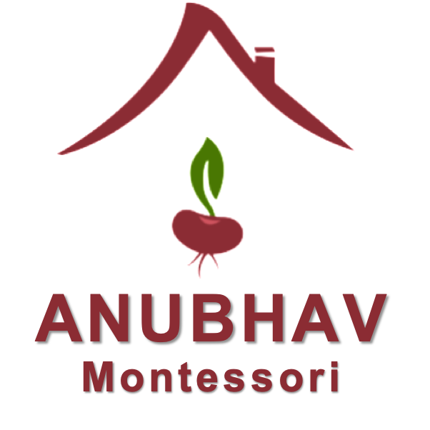 Anubhav Montessori logo