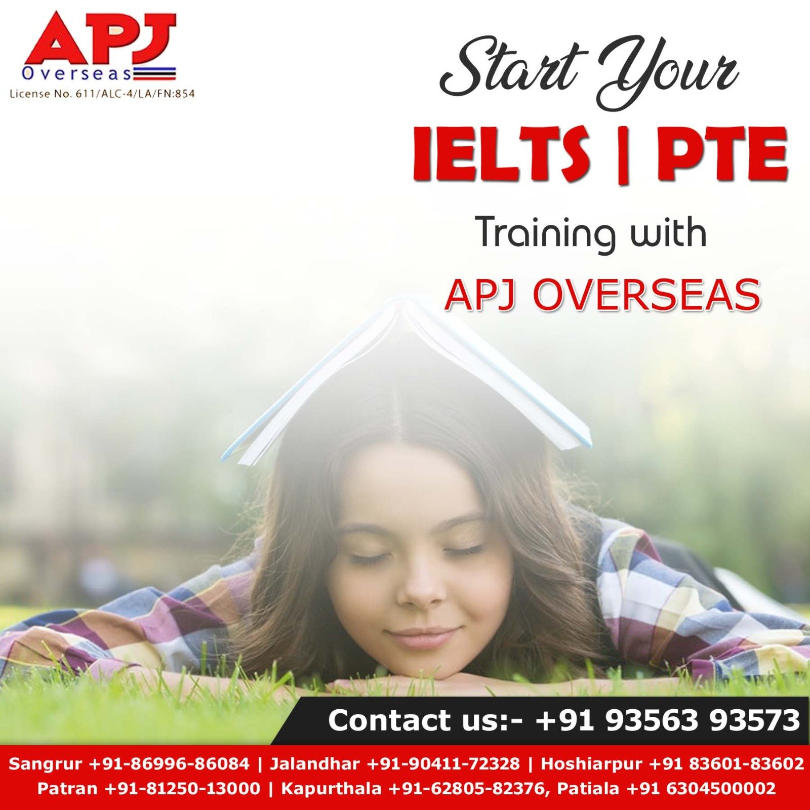 APJ OVERSEAS logo