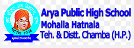 Arya Public High School logo