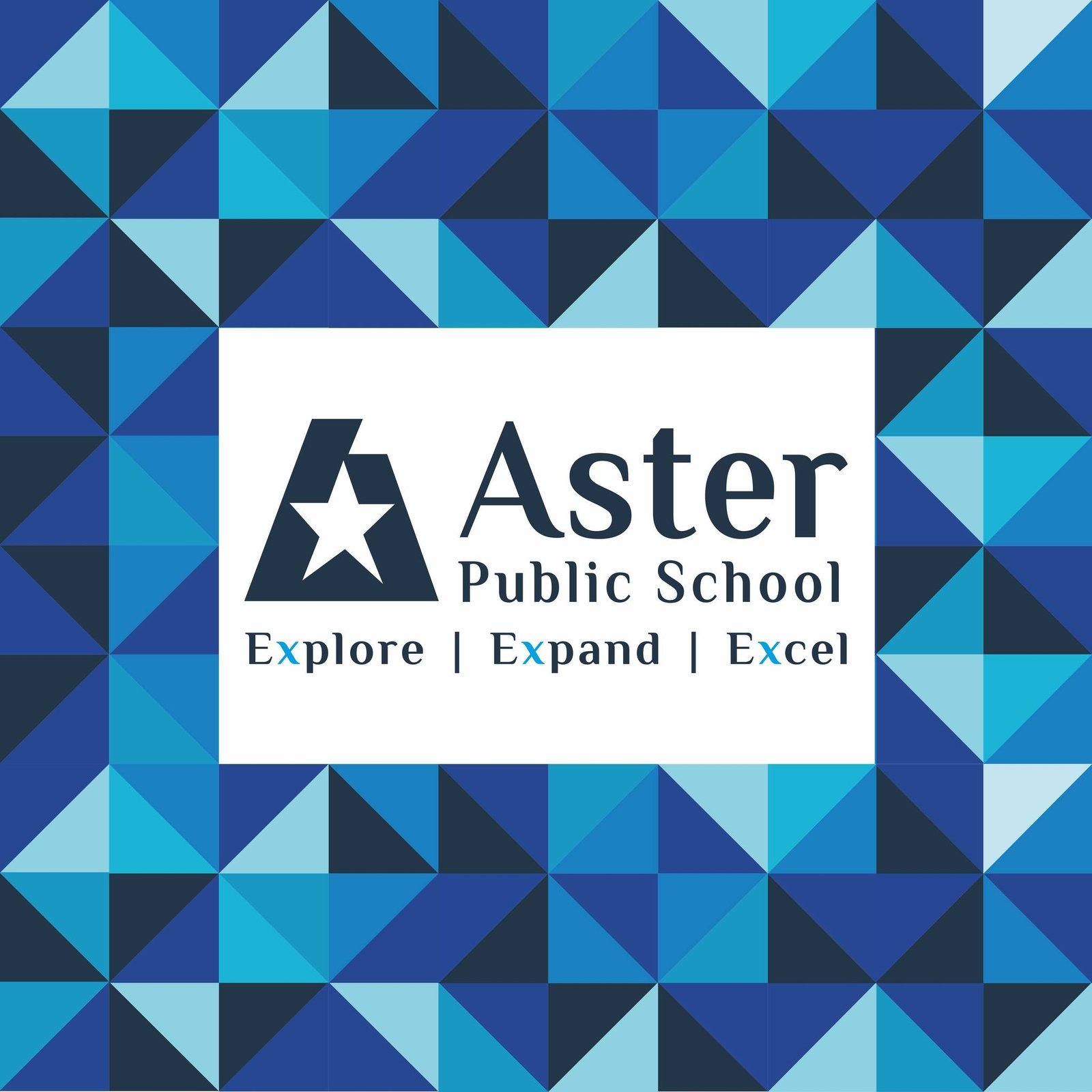 Aster Public School logo
