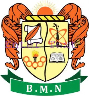 B. M. N. Public School logo