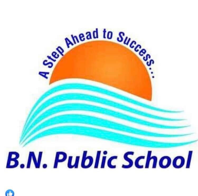 B.N. Public School, Daddoa logo