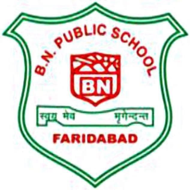 B.N. Public School logo
