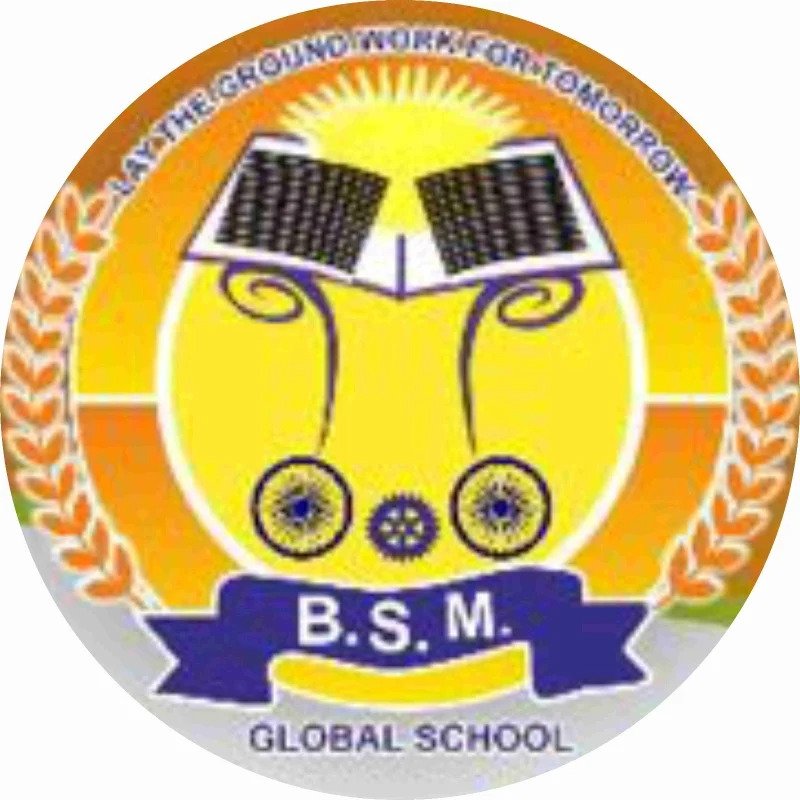 B. S. M Global School logo