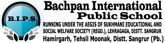 Bachpan International Public School logo