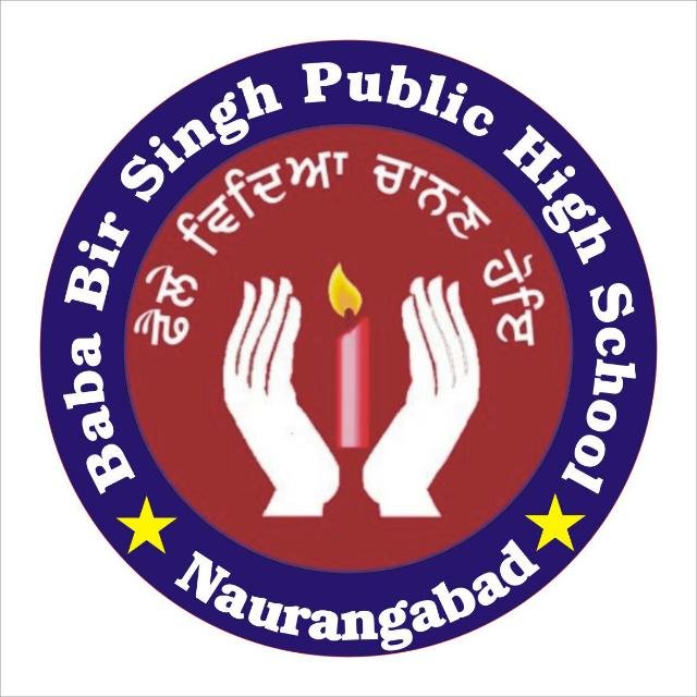 Baba Bir Singh Public High School logo