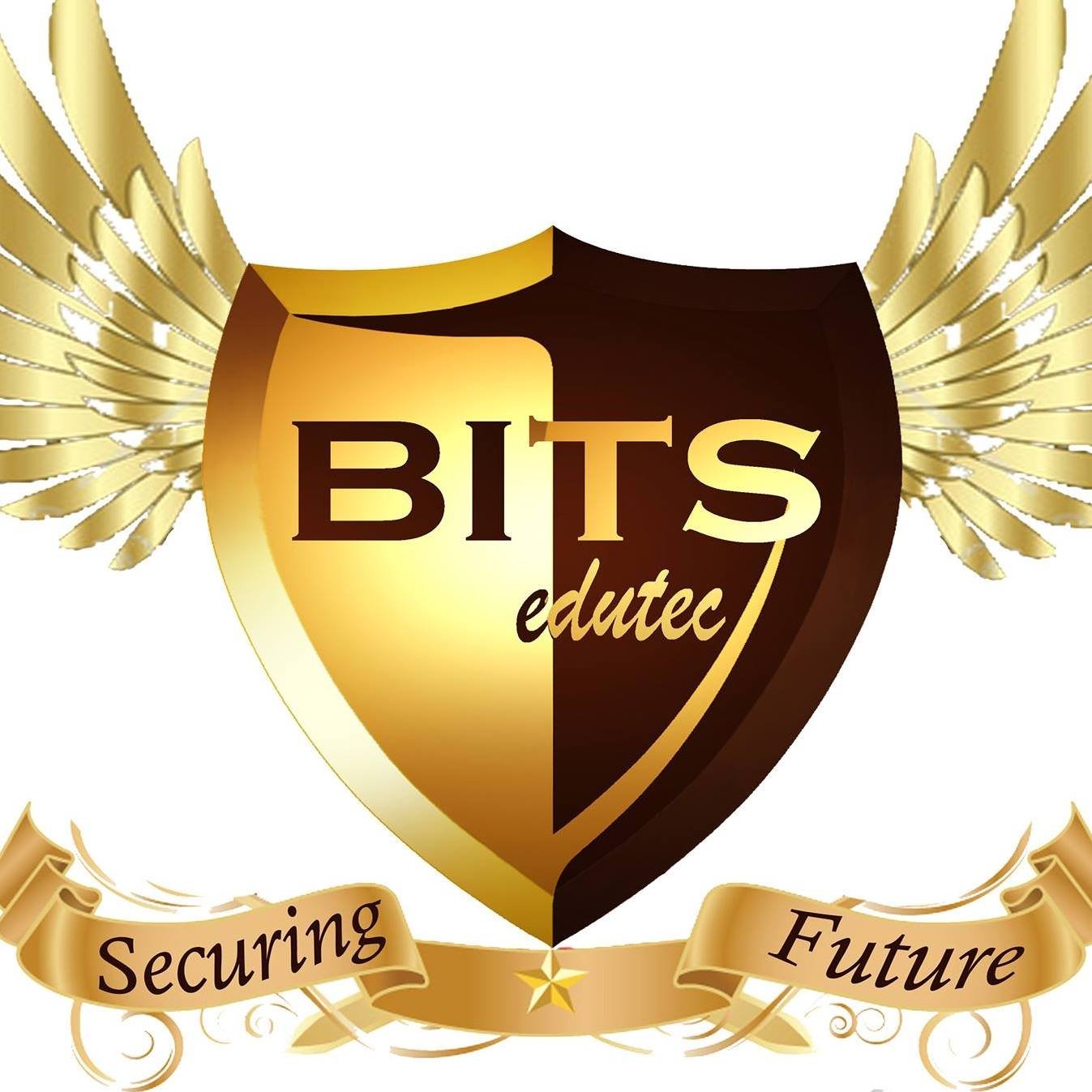 BITS Edutec Computer And Fashion Designing Institute logo