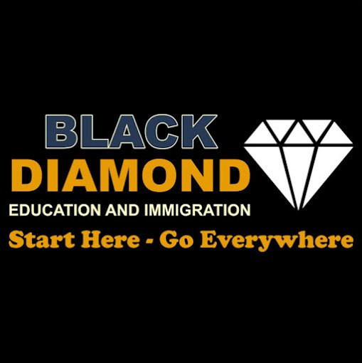Black Diamond Education and Immigration logo