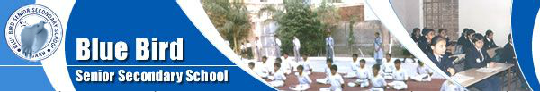 Blue Bird Senior Secondary School logo