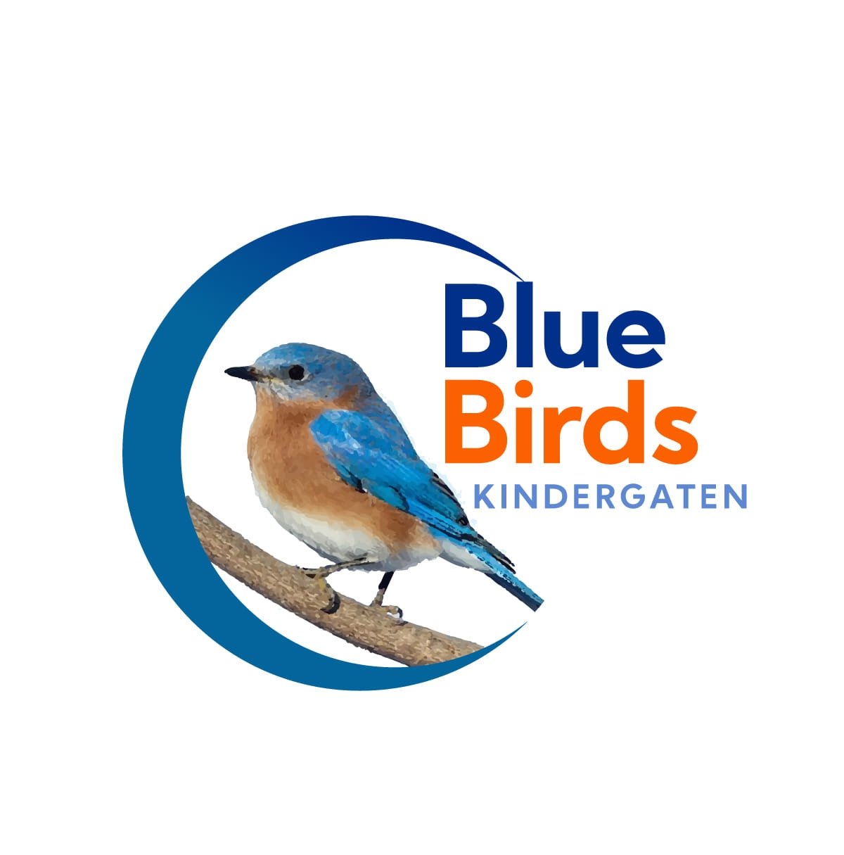 BlueBirds Kindergarten logo