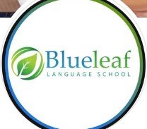 Blueleaf Language School logo