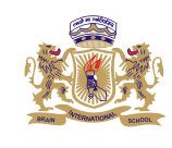 Brain International School logo