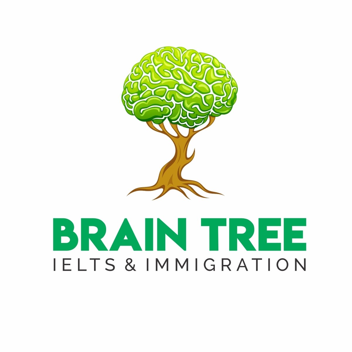 Brain Tree Ielts & Immigration logo