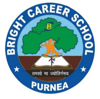 Bright Career School logo