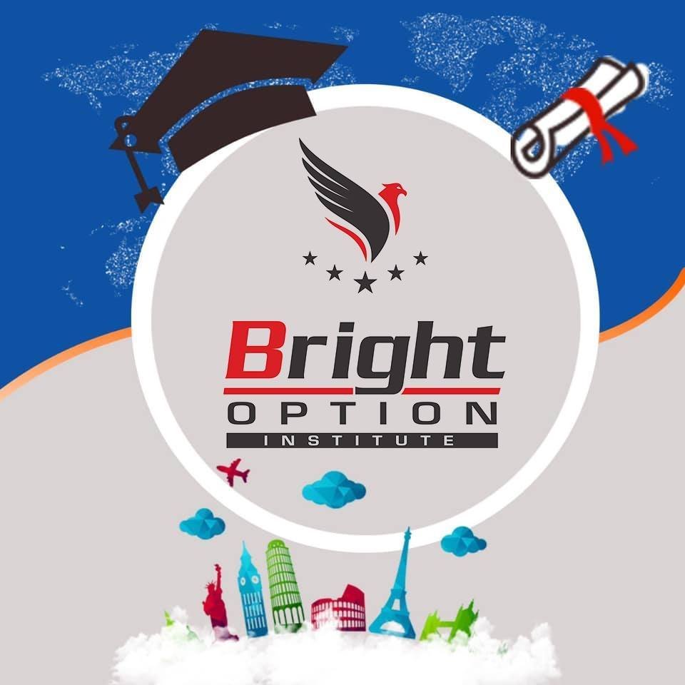 Bright Option Institute logo