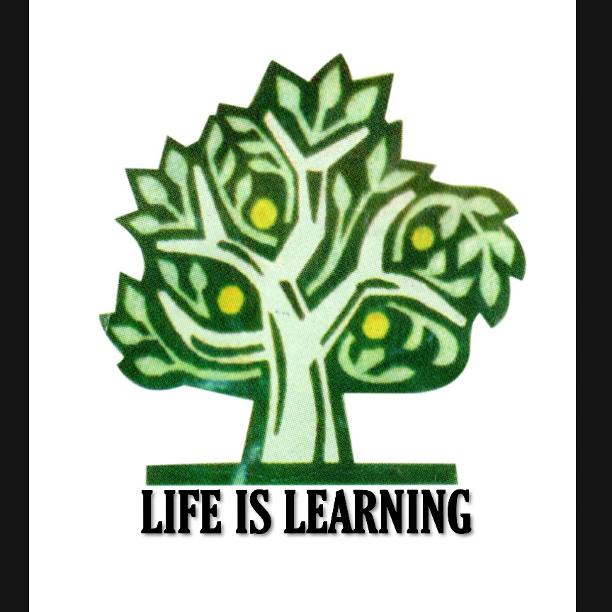 Buddha Woodland School logo