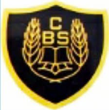 C B S Public School, khair logo
