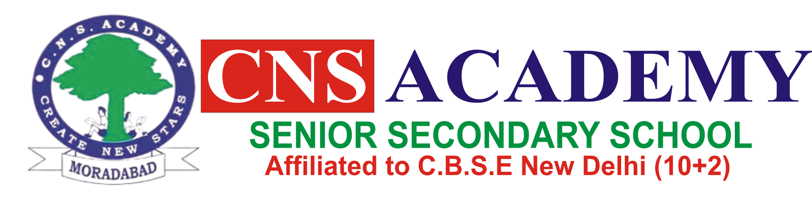 C. N. S. Academy logo