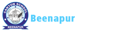 Canyon School Beenapur logo