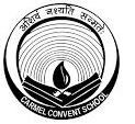 Carmel Convent School logo