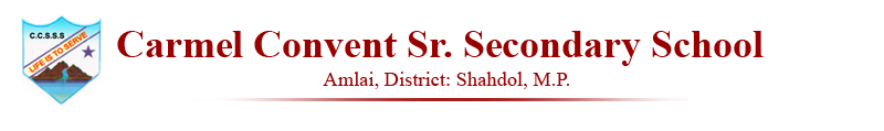 Carmel Convent Senior Secondary School logo