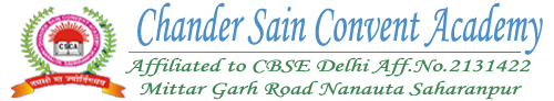 Chander Sain Convent Academy logo