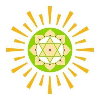Chettinad Vidya Mandir logo