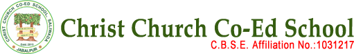 Christ Church Co-Ed School logo