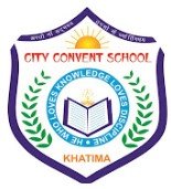 City Convent School logo